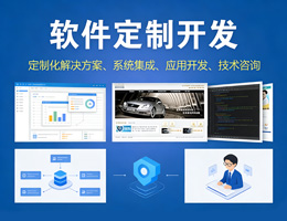 软件定制开发