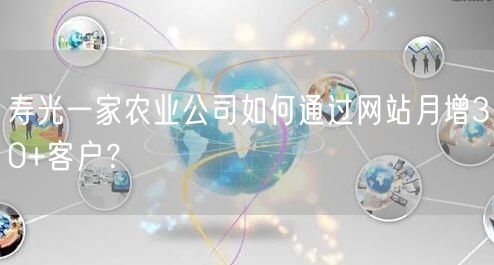 寿光农业公司：靠网站月增30+客户，转型有秘诀！